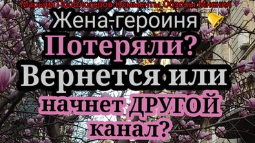 Жена Героиня.Можно ли получить другой SSN?