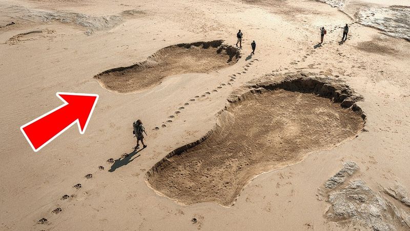 Как следы одного и того же динозавра оказались на разных континентах