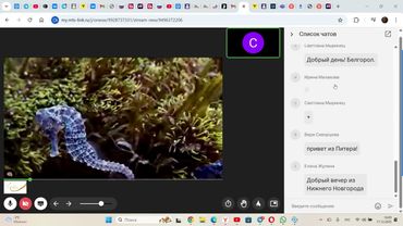 Вебинар С В Чекушиной. от 17- 12 -2025