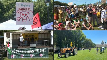 Protesters march in Paris against law reauthorising banned insecticides | AFP