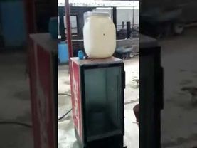 Perro llora porque lo llaman PEÑA NIETO