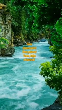 #добрыйдень