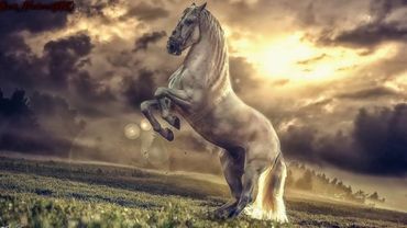 самый красивый нашид!!!слушать всем.