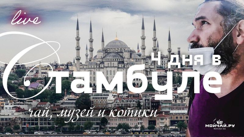 Стамбул. 4 дня пешком LIVE. Чай, котики и музеи.