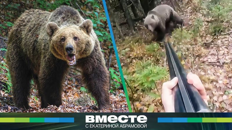 Медвежий террор в России: хищники убивают людей по всей стране и держат в страхе целые деревни