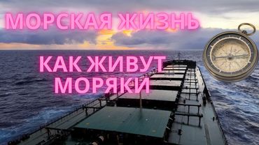 МОРСКАЯ ЖИЗНЬ - КАК ЖИВУТ МОРЯКИ