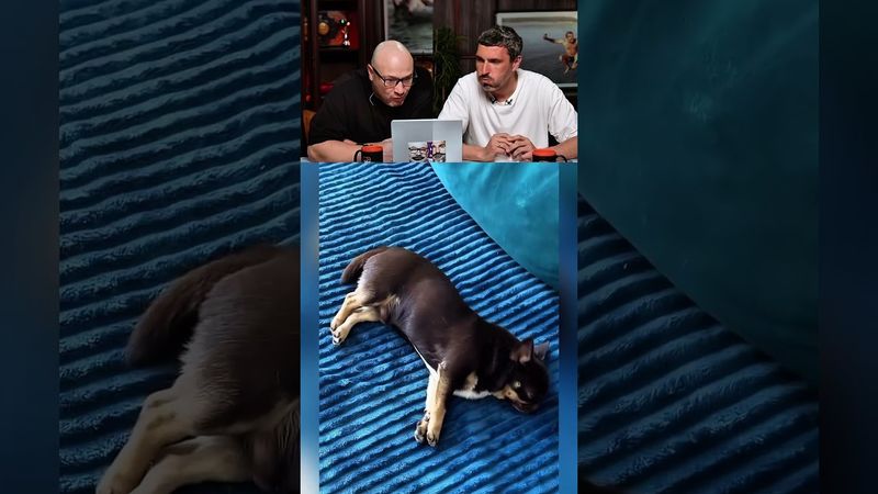 ЗАСМЕЯЛСЯ-ПОДПИСАЛСЯ Ч.161😂РЖЕМ ПОЛ ДНЯ!