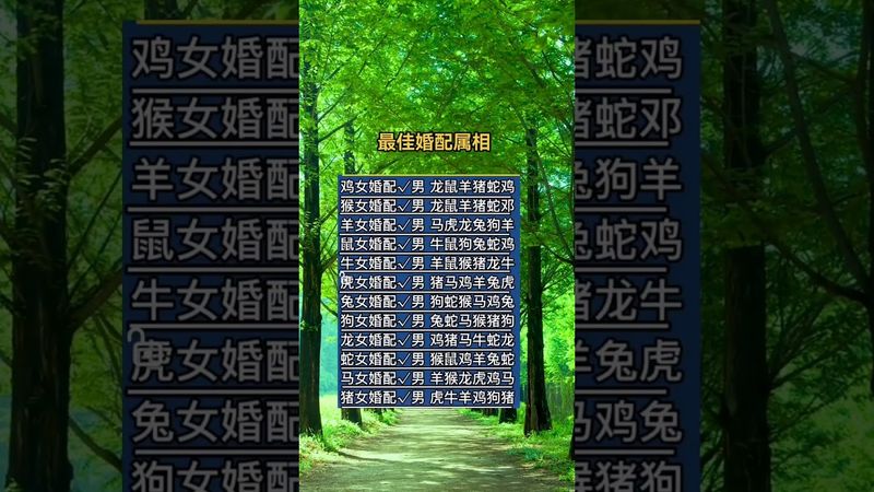 十二生肖最佳婚配組合曝光，天生一對的是你嗎？  #運勢 #人生感悟 #生肖 #正能量