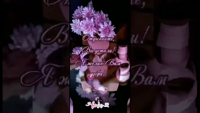 🌺 •ДОБРЫЙ ВЕЧЕР•Удача пусть не подведет,Во всех делах тебе везёт!#shorts