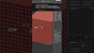 6 поли выделений