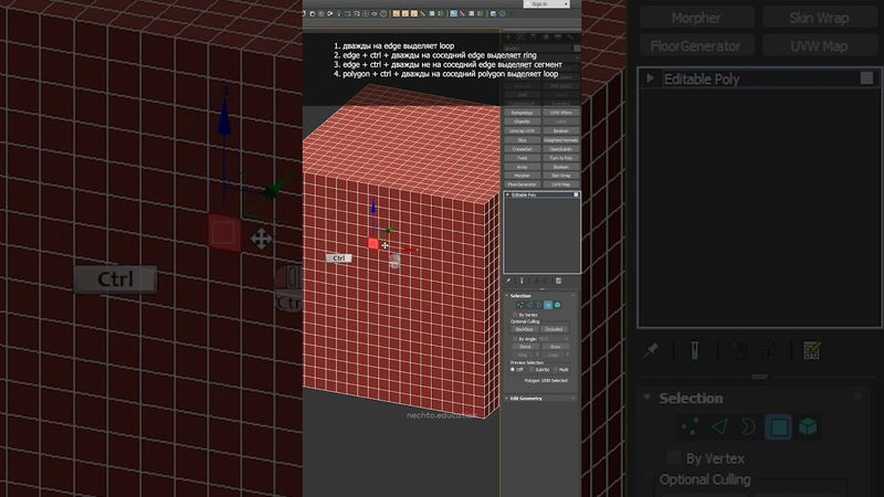 6 поли выделений