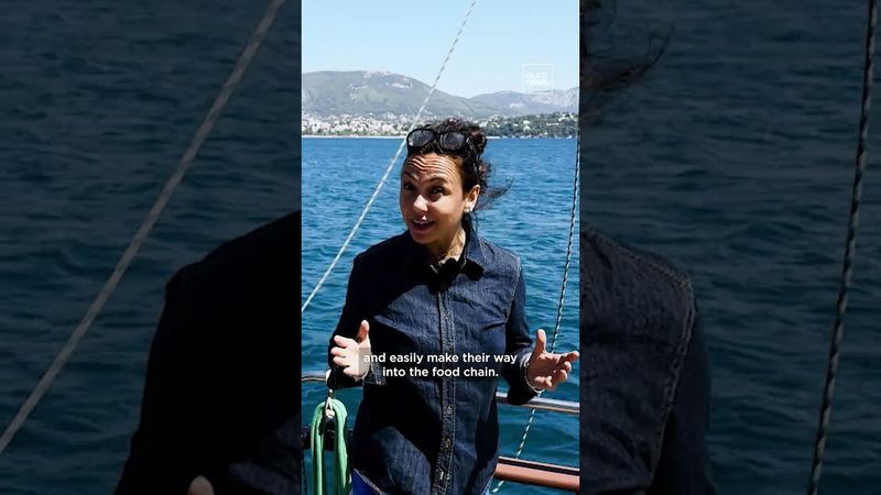 Hunting microplastics: French scientists sound the alarm on plastic pollution | Teaser – EP35