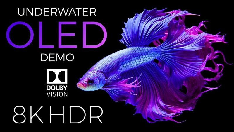 Underwater World OLED Demo HDR 8K Ultra HD Dolby Vision™ 60fps