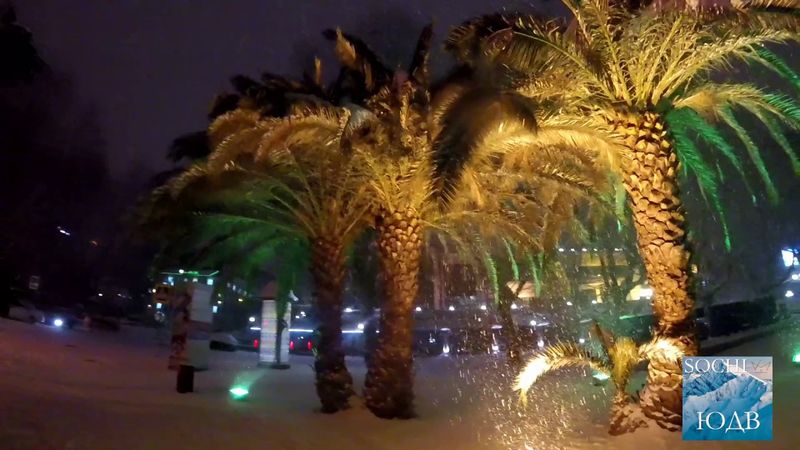 АНОМАЛЬНЫЙ СНЕГОПАД в Сочи! НЕОПИСУЕМОЕ ЗРЕЛИЩЕ! SOCHI-ЮДВ  |Недвижимость Cочи ||Квартиры в Cочи