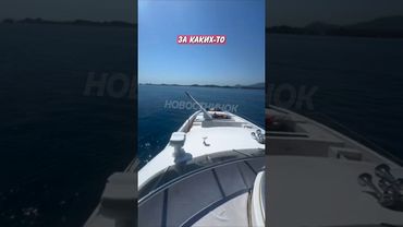 🤣 Пошутили над миллионером в комментариях, но не ожидали такого ответа! | Новостничок