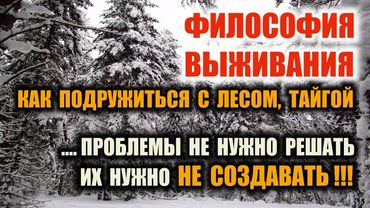 Forest survival ВЫЖИВАНИЕ В ЛЕСУ, ТАЙГЕ Как привыкнуть к лесу, как избежать проблем в начале и потом