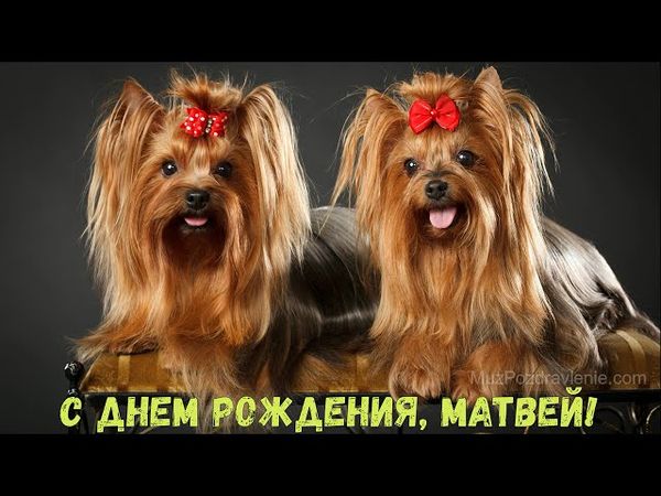 С Днем рождения, Матвей!