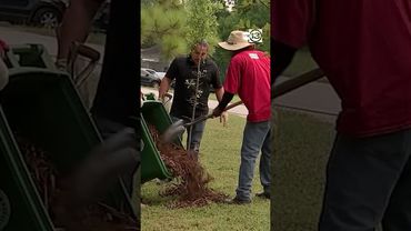 Longtime Alief community leader, and environmental advocate Barbara Quattro, dies