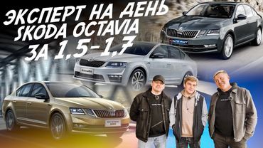 ЭКСПЕРТ НА ДЕНЬ! Skoda Octavia A7! Бюджет 1.5-1.7 млн.руб! Автоподбор Autofact!