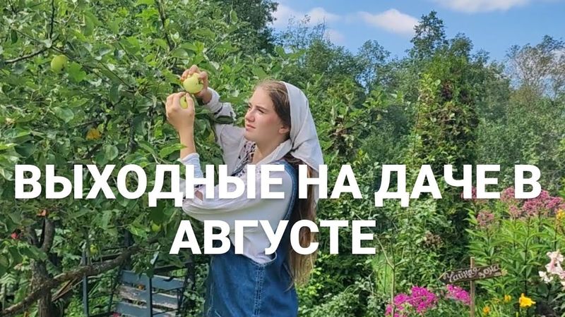 ВЫХОДНЫЕ НА ДАЧЕ СТУДЕНТА АГРОНОМА/ Собираю Урожай/ Огород Без Ухода