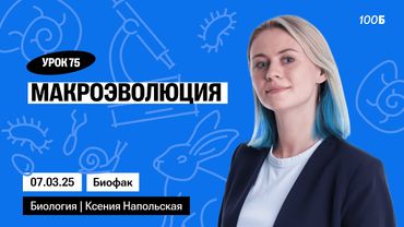 Макроэволюция | Биофак 2025 | Урок 75