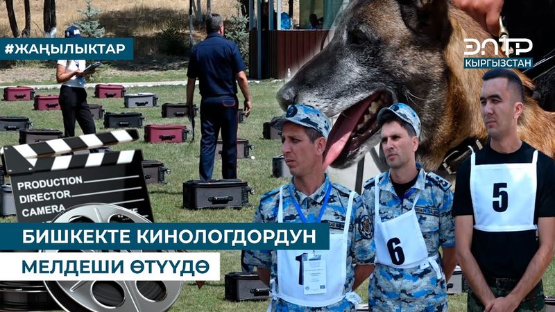 БИШКЕКТЕ КИНОЛОГДОРДУН МЕЛДЕШИ ӨТҮҮДӨ