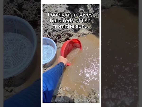 They became massive! #wholesome #animals