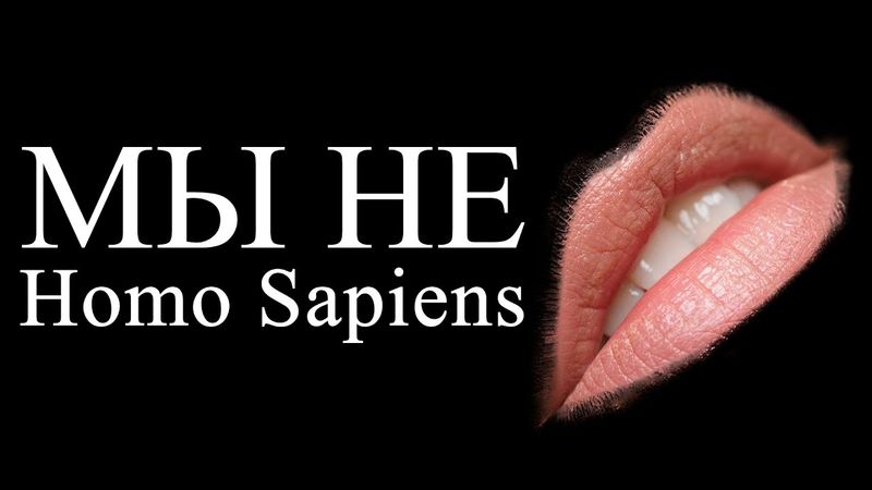 Чужаки изнутри | ALI