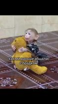 цените брадков