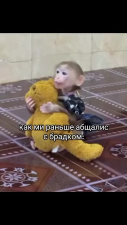цените брадков