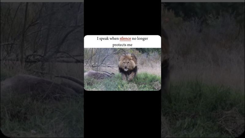 || I Roar | lion....                                                                         #shorts