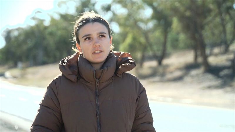 Как «виртуальные» ограждения помогают избежать ДТП с животными