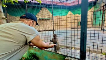 Люся-ЛЮБИМИЦА Елисея, он ей позволяет все, даже держать за руки меня и Влада!!!