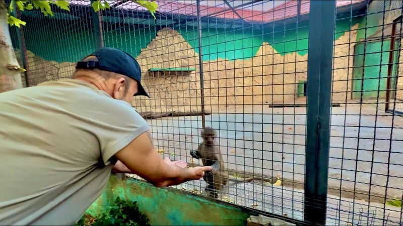 Люся-ЛЮБИМИЦА Елисея, он ей позволяет все, даже держать за руки меня и Влада!!!