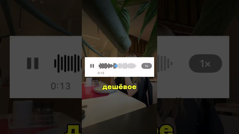 Я в шоке🤣 а ты бы как поступил на моём месте?