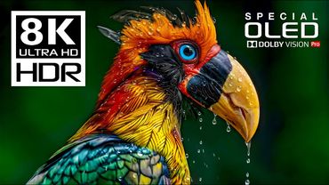 Incredible 8K Videos | Special Dolby Vision HDR 8K 120fps