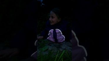 Все смотрите до конца