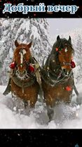 ####Добрый  вечер друзья ❄️❄️❄️❄️❄️❄️❄️❄️❄️❄️❄️❄️❄️❄️❄️❄️❄️❄️❄️❄️❄️❄️...