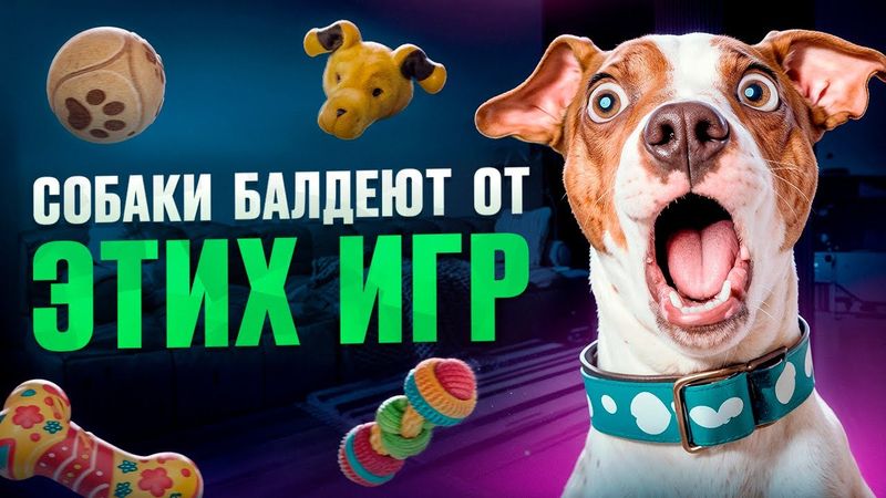 Как Стать ЛУЧШИМ Хозяином? Топ 5 Игр, Которые ОТКРОЮТ Таланты Твоей Собаки