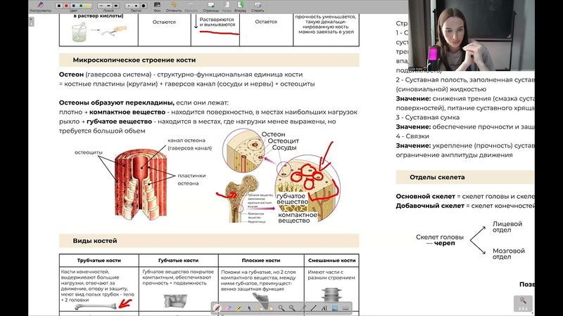 Реанимация. День 10 | тгк: biowithbear