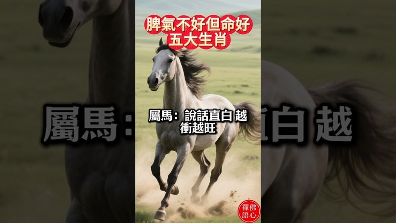 脾氣不好但命好，最容易大富大貴的五大生肖~#生肖 #財運 #運勢 #屬相 #風水 #命理
