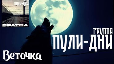 Группа Пули Дни   Веточка