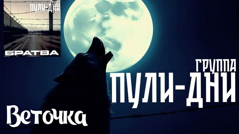 Группа Пули Дни   Веточка