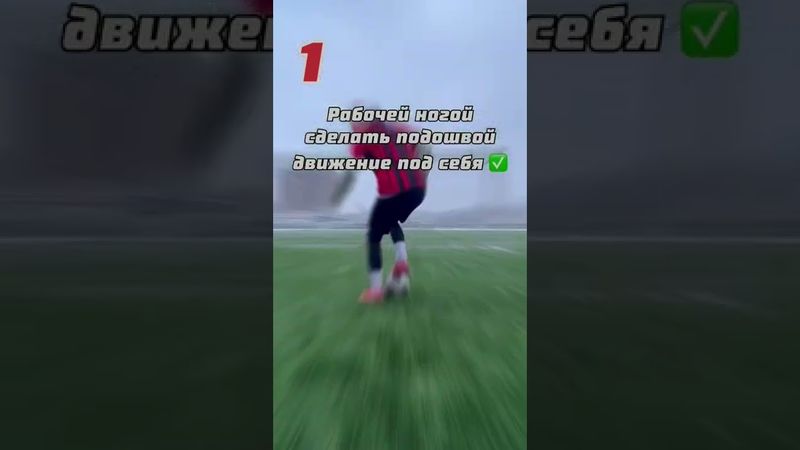 Футбольные финты для деревьев 😎🪵