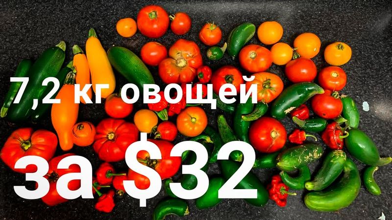 Сбор урожая в США