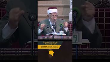 Не идешь к Аллаху сам — будешь приведён | Шейх Рамадан аль-Буты