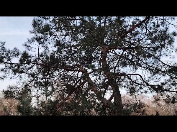 Аллергия на руководство. Причины данного "заболевания"