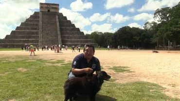 Rescue dogs help guard ancient Mexican pyramid  | AFP