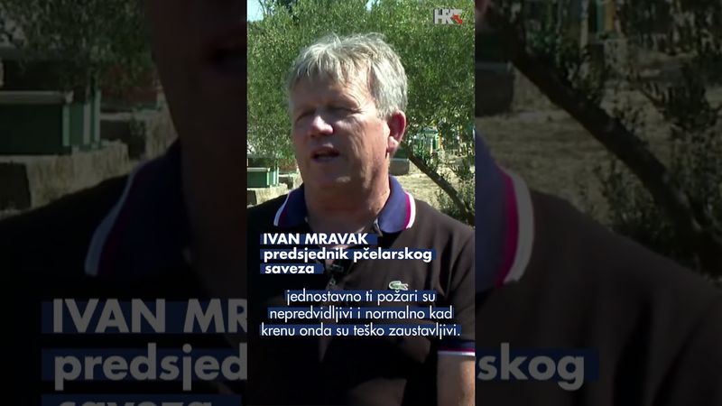 Izgorjele košnice, uginule pčele i očaj vlasnika 🐝🔥 #HRTDnevnik #pčele #požar