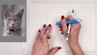 построение анфас практика